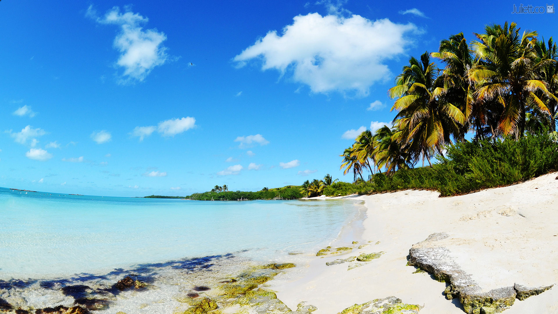 Райские острова: Isla Contoy + Isla Mujeres